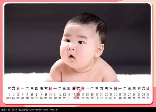 可爱宝宝艺术照台历模板psd素材免费下载 红动网