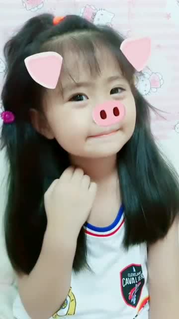 好可爱的小猪