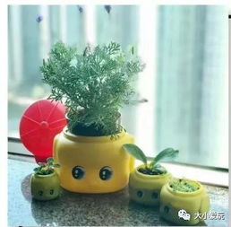 小红书上超火的日本药用级马油宝宝面霜,预防冬天苹果脸的神器
