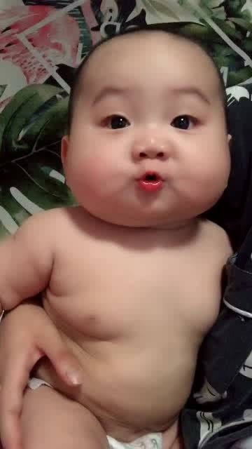 萌宝肥嘟嘟 白白嫩嫩猪宝宝,天真可爱惹人怜